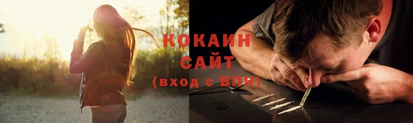 мяу мяу мука Михайловск