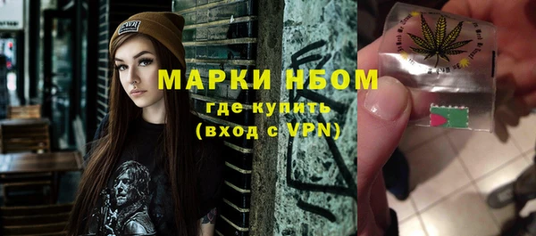 твердый Новосибирск